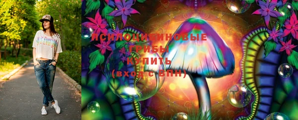 герыч Бородино