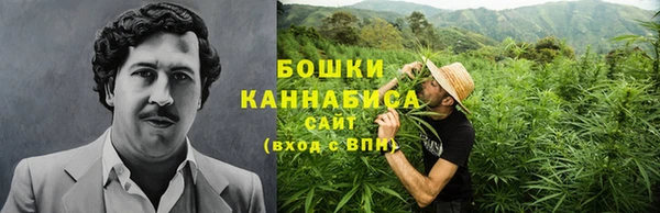 спиды Бронницы